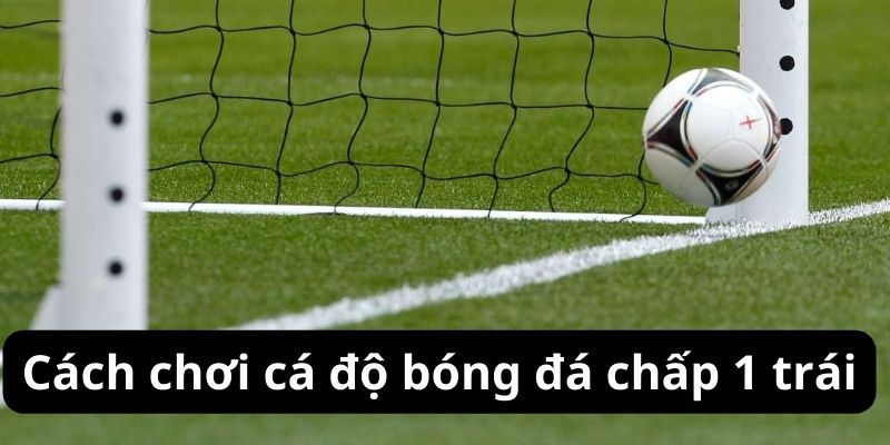 Cách chơi cá độ bóng đá chấp 1 trái
