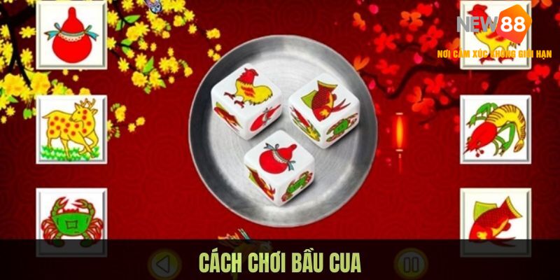 Giới thiệu trò chơi bầu cua tại NEW88